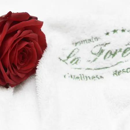 Domaine De La Foret