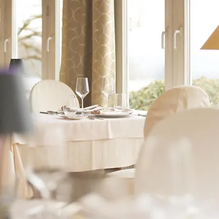Domaine De La Foret فندق