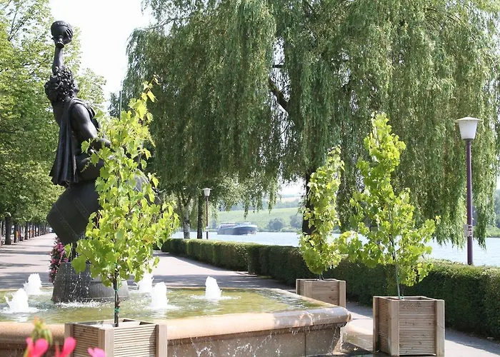 Hotel Domaine De La Forêt 4*