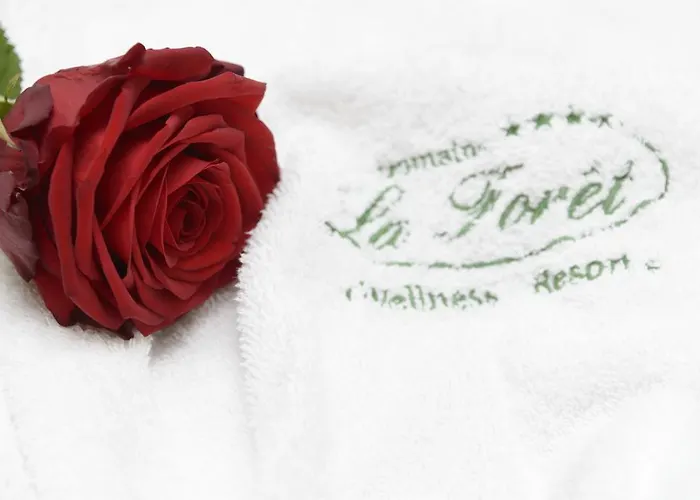 Domaine De La Forêt