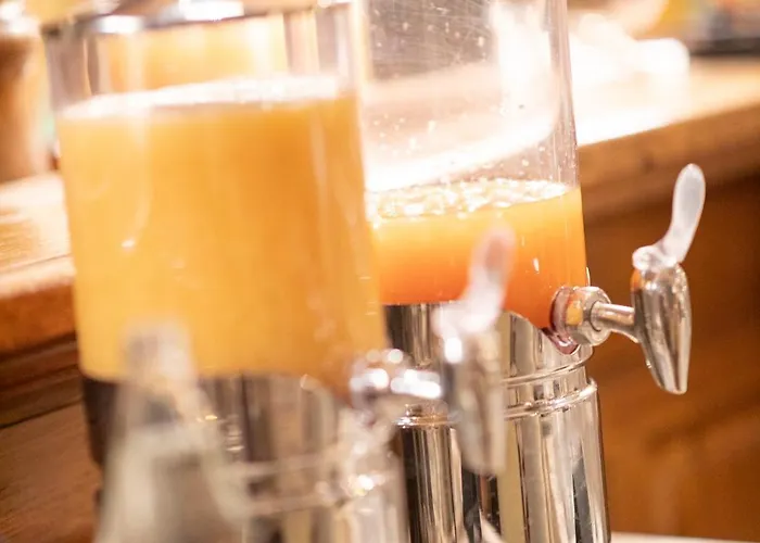 Domaine De La Forêt 4*