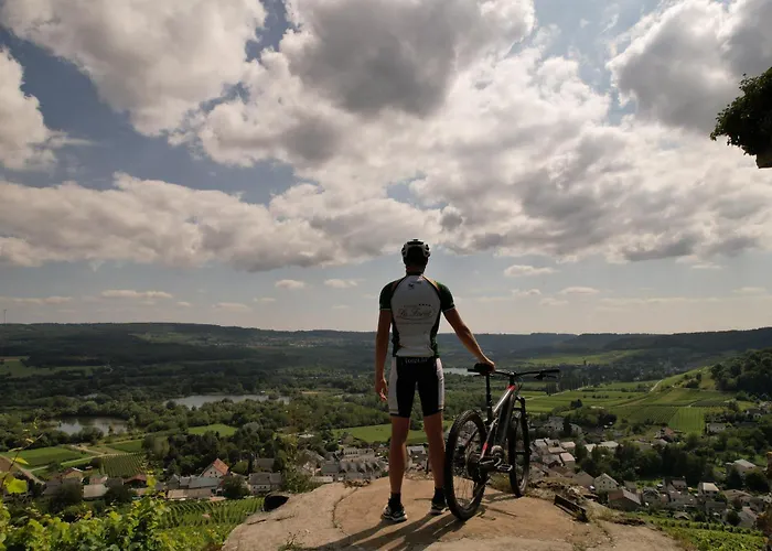 Domaine De La Forêt 4*