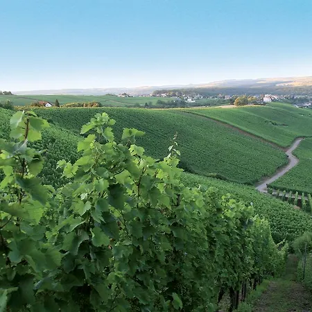 Domaine De La Foret 4*