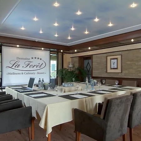 Hotel Domaine De La Foret