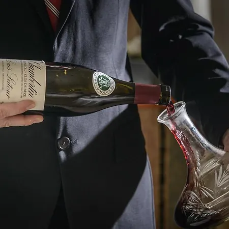 Domaine De La Foret 4*