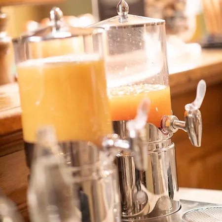 Domaine De La Foret 4*