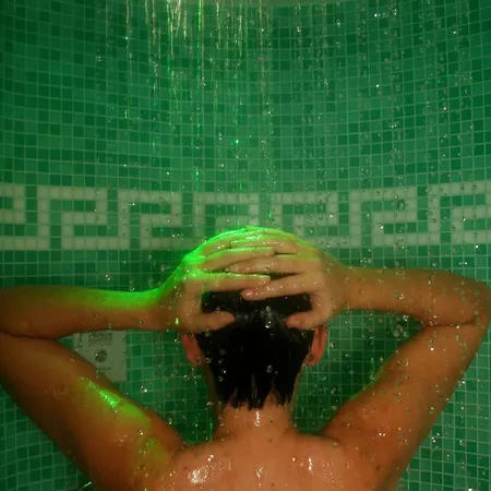 Domaine De La Foret 4* רמיך