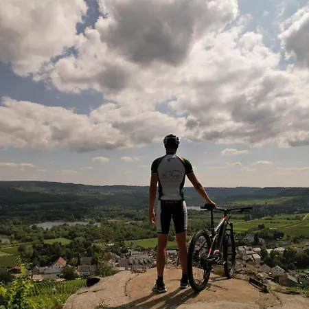 Domaine De La Foret 4*