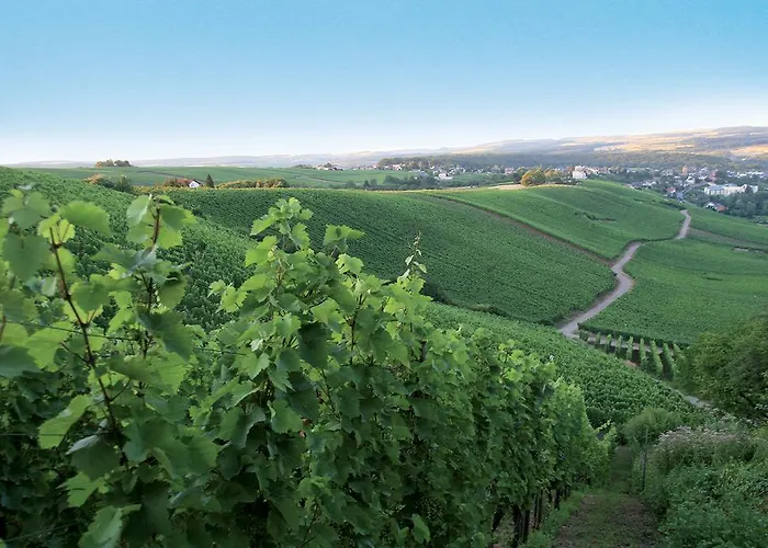 Domaine De La Forêt 4*