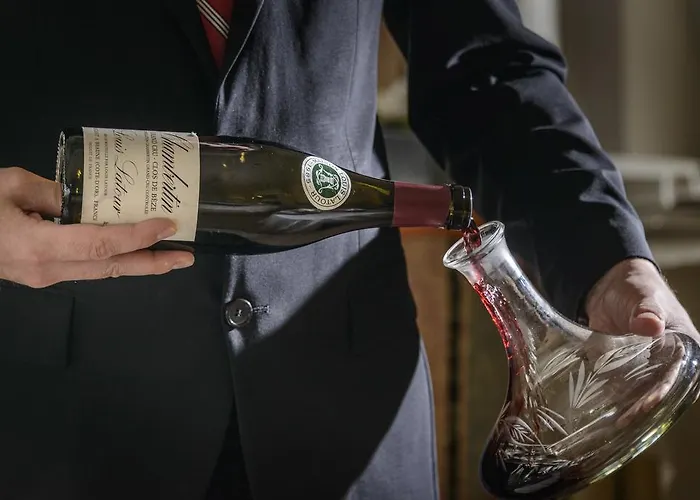 Domaine De La Forêt 4*