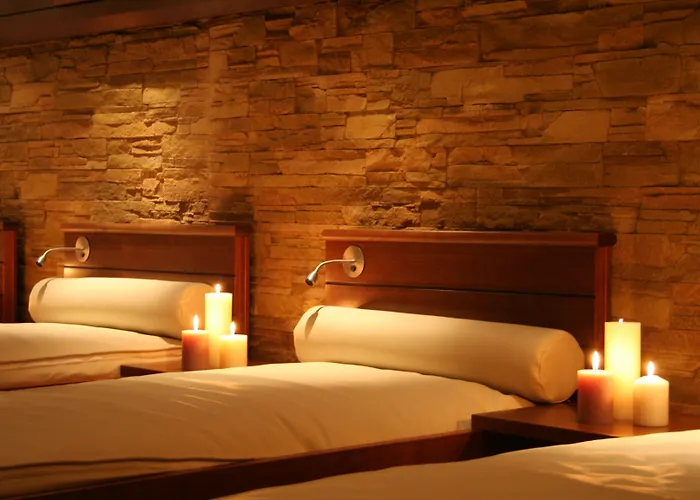 Hotel Domaine De La Foret