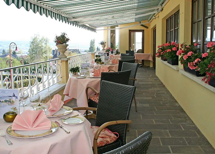 Hotel Domaine De La Foret