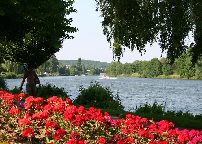 Hotel Domaine De La Foret 4*